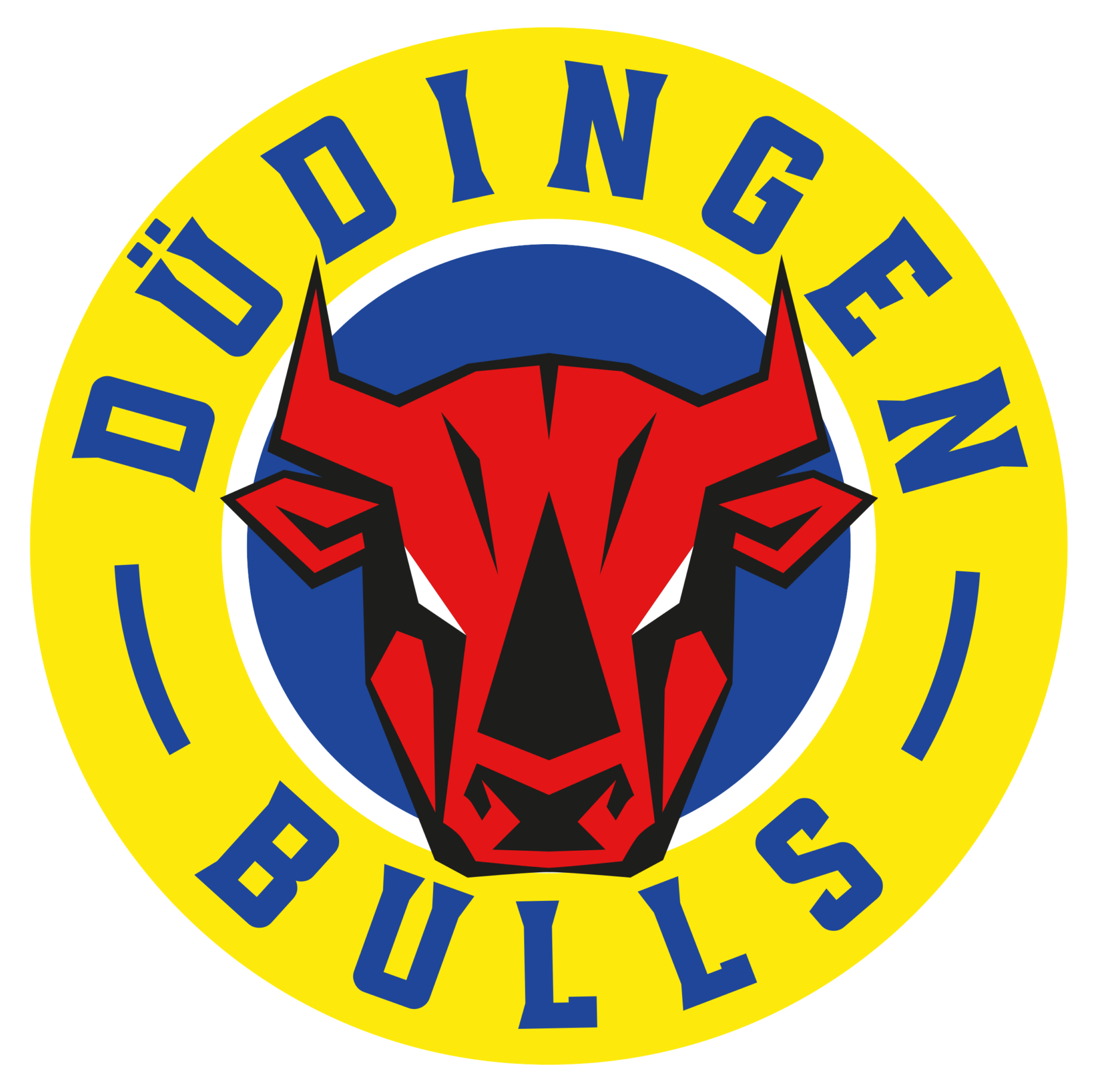 HC Düdingen Bulls