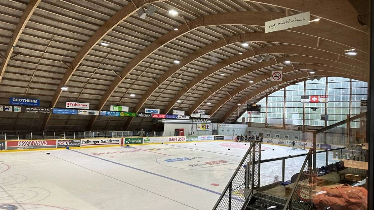 HC Düdingen Bulls