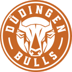 Sponsor HC Düdingen Bulls