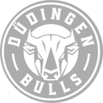 Sponsor HC Düdingen Bulls
